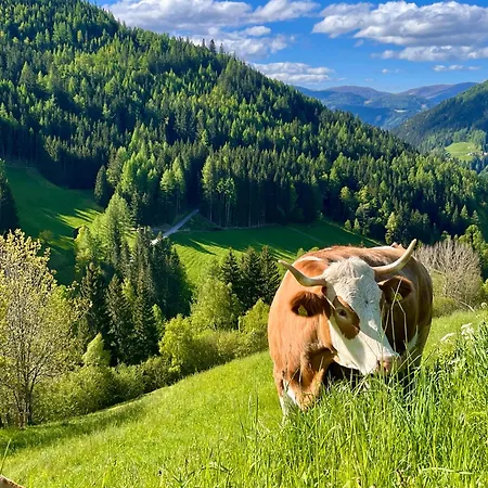 Stellplatz Mit Aussicht Auf Bergbauernhof Rennweg am Katschberg