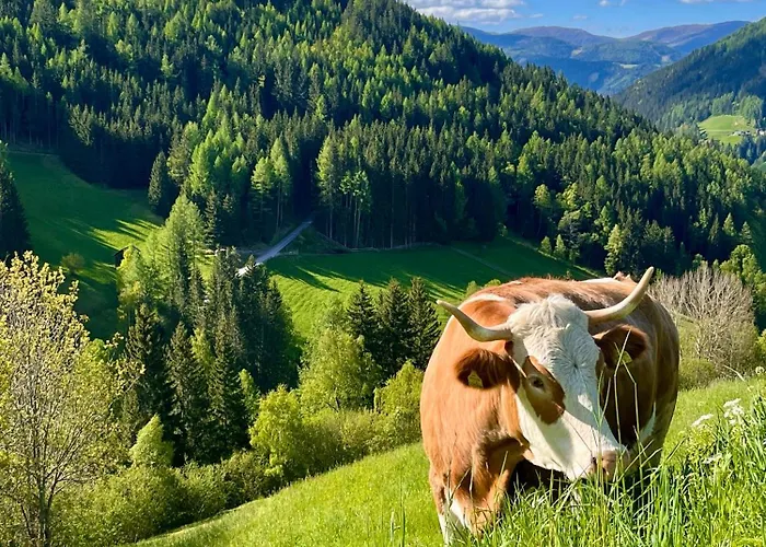Stellplatz Mit Aussicht Auf Bergbauernhof Rennweg am Katschberg